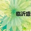 临沂盛能游乐园（盛能游乐园）