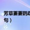 芳草萋萋鹦鹉洲读音（芳草萋萋鹦鹉洲的上一句）
