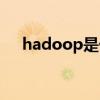 hadoop是什么软件（hadoop是什么）