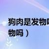 狗肉是发物吗?皮肤湿疹能不能吃（狗肉是发物吗）