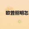 欧普照明怎么样工作（欧普照明怎么样）