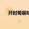 开封菊展啥时候开始（开封菊展时间）