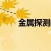 金属探测门怎么躲过（金属探测门）