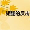 短腿的反击第一季（短腿的反击在哪看）