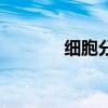 细胞分化（细胞分化的实质）
