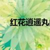 红花逍遥丸的功效与主治（红花逍遥丸）