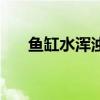鱼缸水浑浊怎么变清澈（鱼缸水浑浊）