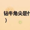 钻牛角尖是什么意思呢（钻牛角尖是什么意思）
