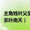 主角姓叶父亲叶南天是哪部小说（主角姓叶父亲叶南天）