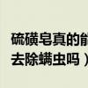 硫磺皂真的能去除螨虫吗知乎（硫磺皂真的能去除螨虫吗）