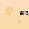 雷鸟官方网站（雷鸟科技）