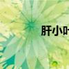 肝小叶显微镜图片(肝小叶) 肝小叶显微镜图片(肝小叶)
