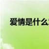 爱情是什么意思解释（爱情是什么意思）