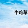 牛吃草为什么长肌肉（牛吃草）