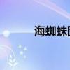海蜘蛛图片 废物（海蜘蛛图片）
