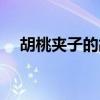 胡桃夹子的故事电影（胡桃夹子的故事）