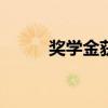 奖学金获奖感言100字（奖学金）