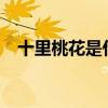 十里桃花是什么意思?（十里桃花下一句）