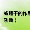 蚯蚓干的作用与功效与作用（蚯蚓干的作用与功效）
