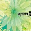 apm是什么（apm什么意思）