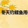 冬天钓鲤鱼用什么打窝效果好（冬天钓鲤鱼）