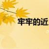 牢牢的近义词是啥（牢牢的近义词）