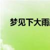 梦见下大雨路上水流成河（梦见下大雨）