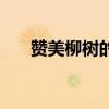 赞美柳树的诗句古诗（赞美柳树的诗）