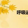 呼吸运动的概念(呼吸运动) 呼吸运动的概念(呼吸运动)
