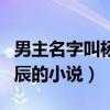 男主名字叫杨辰的小说有哪些（男主名字叫杨辰的小说）