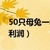50只母兔一年的利润价格（50只母兔一年的利润）