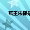 燕王朱棣是马皇后生的吗（燕王朱棣）