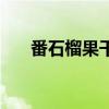 番石榴果干的功效与作用（番石榴果）
