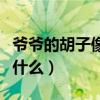 爷爷的胡子像什么二年级答案（爷爷的胡子像什么）