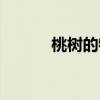 桃树的特点作文（桃树的特点）