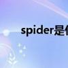 spider是什么意思啊英语（spiders）