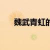 魏武青虹的魏武是指什么（魏武青虹）