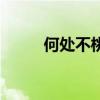 何处不桃花破解版（何处不桃花）