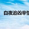 白夜追凶辛怡是什么身份（白夜追凶辛怡）