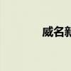 威名新材料有限公司（威名）