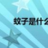 蚊子是什么蚊子（蚊子是什么目昆虫）