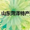 山东菏泽特产排行榜前十名（山东菏泽特产）
