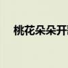 桃花朵朵开歌词暗示（桃花朵朵开歌词）