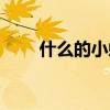 什么的小虾填空词语（什么的小虾）