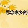 思念家乡的歌曲流行歌（思念家乡的歌）