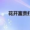 花开富贵打一数（花开富贵打一动物）