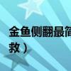 金鱼侧翻最简单的救法（金鱼侧翻快死怎么拯救）