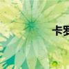 卡罗琳娜（卡罗琳公主）