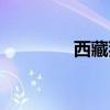 西藏猎犬幼犬（西藏猎犬）