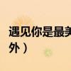 遇见你是最美的意外句子（遇见你是最美的意外）
